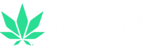 Flowhub Logo White Transparent