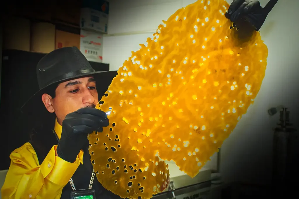 Demystifying Cannabis Shatter: A Deep Dive into Its Unique Qualities 2 NuVue Pharma Cannabis Shatter