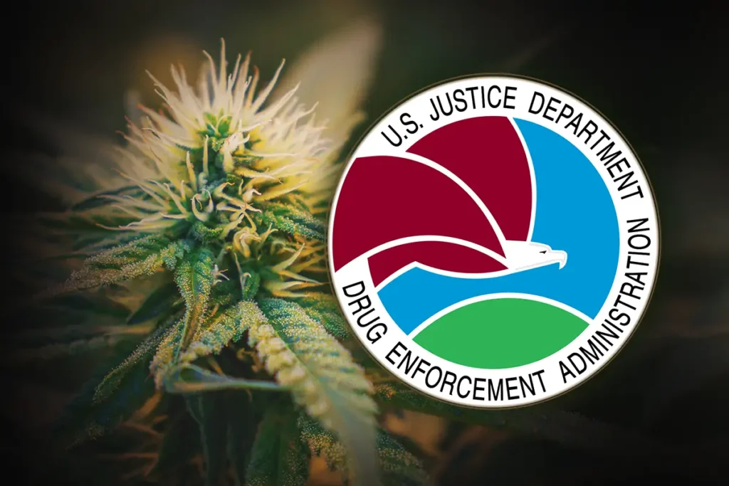 Rescheduling Cannabis: A New Era of U.S. Drug Policy 1 DEA Cannabis Reclassify
