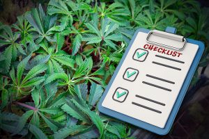 Home 2 Featured Picture-Cannabis Spring Grow Checklist