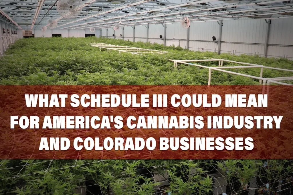 What Schedule III Could Mean for America's Cannabis Industry and Colorado Businesses 2 Resheduling Featured Blog Picture